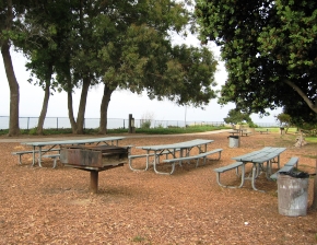 Shoreline Park Picnic Area facility photo
