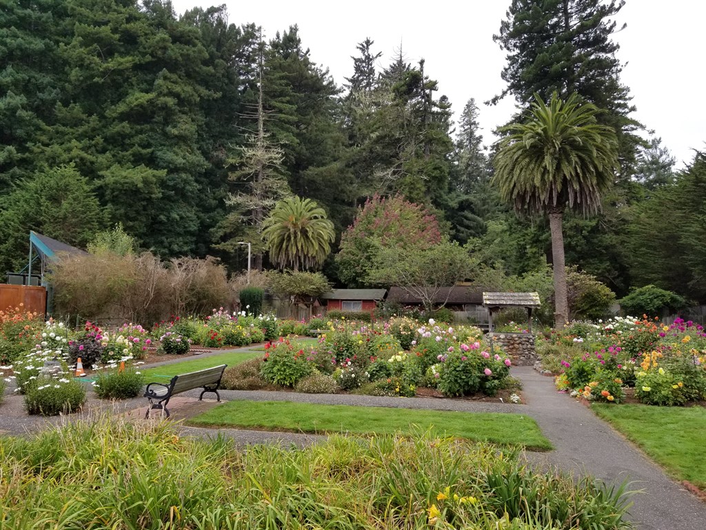 Sequoia Park Flower Garden Gazebo facility photo