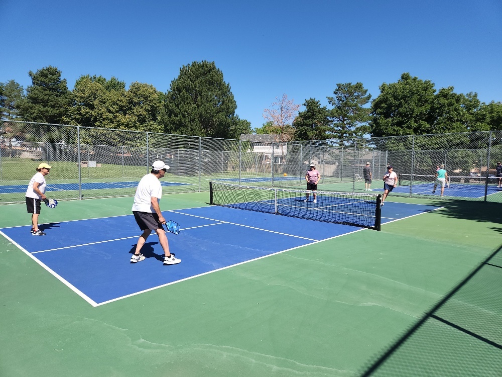 Aurora Big Dill Pickleball Tournament - Coed/Mixed 3.5